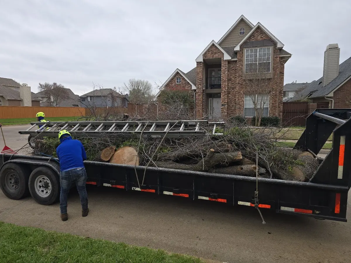 Expert Tree Pest Control with proper safety equipment in Blaine
